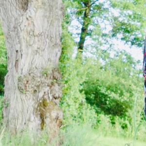 Lolacoquine-bbw-milf-maman-cougar-ronde-toulouse-sexy-porn MYM