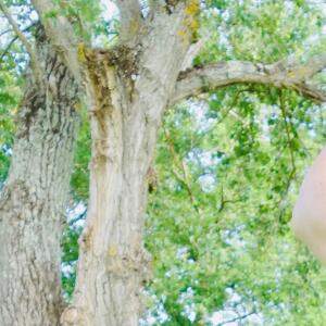 Lolacoquine-bbw-milf-maman-cougar-ronde-toulouse-sexy-porn MYM