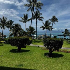 Vahine_tahiti987_ MYM